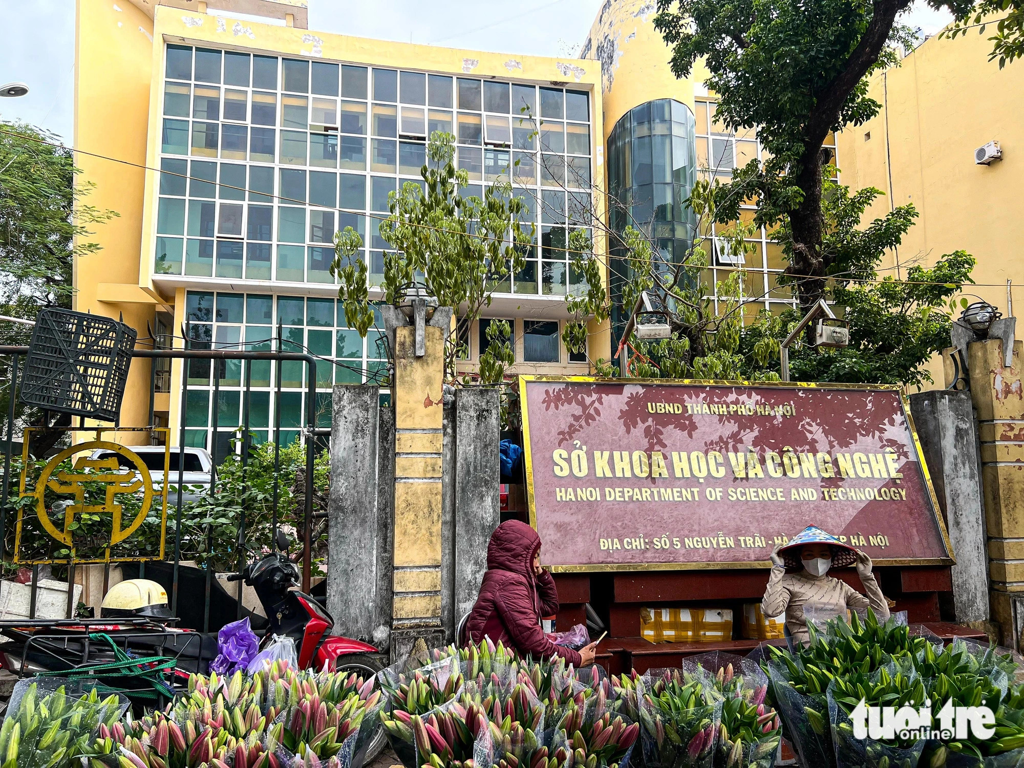 At 5 Nguyen Trai Street in Ha Dong District, Hanoi, the abandoned office, formerly the headquarters of the Hanoi Department of Science and Technology, has become a makeshift market space for flower vendors. Photo: Pham Tuan / Tuoi Tre