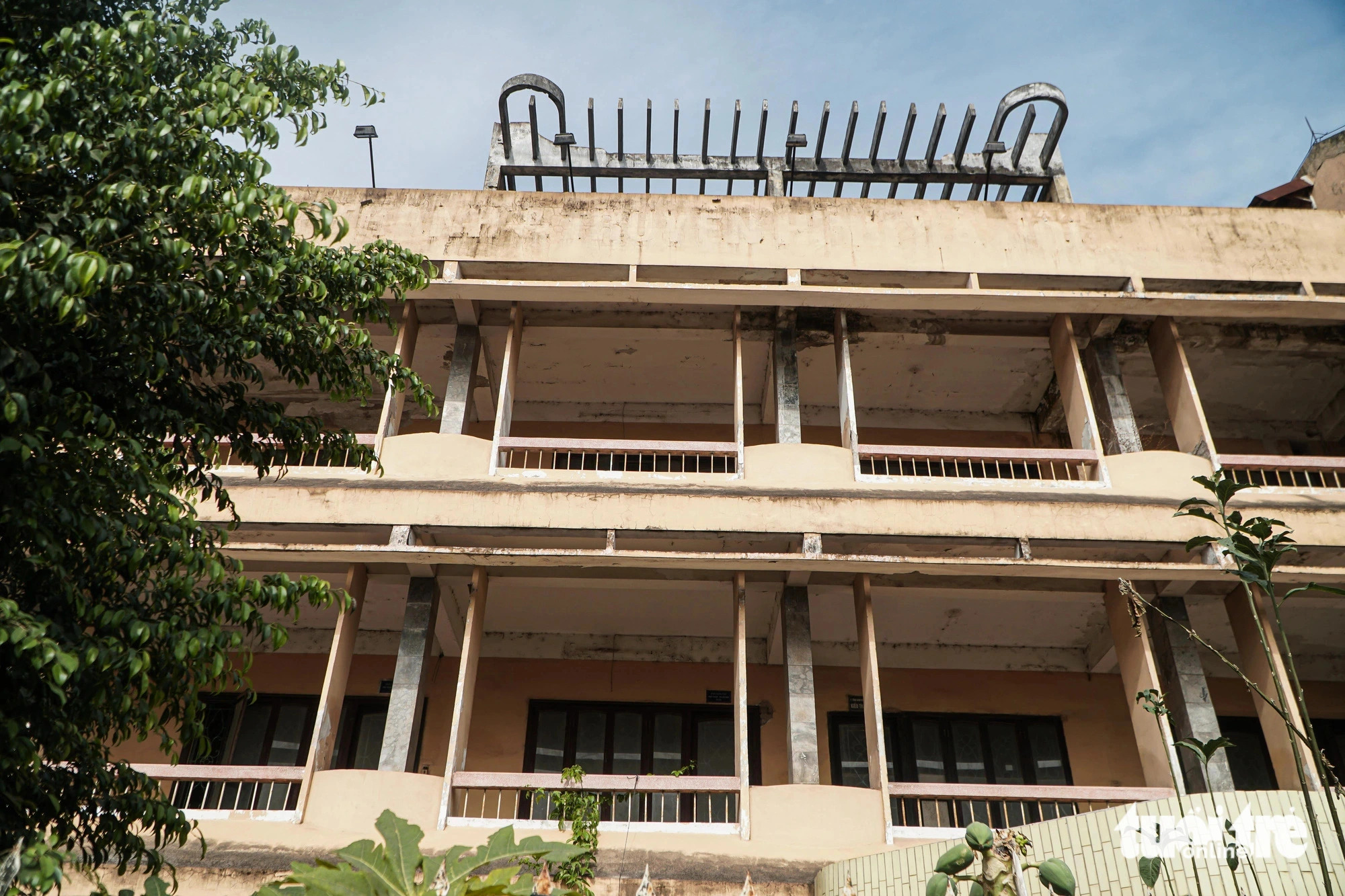 Inside the building, wild plants and grass have grown unchecked from the lobby to the third-floor balcony. Photo: Pham Tuan / Tuoi Tre