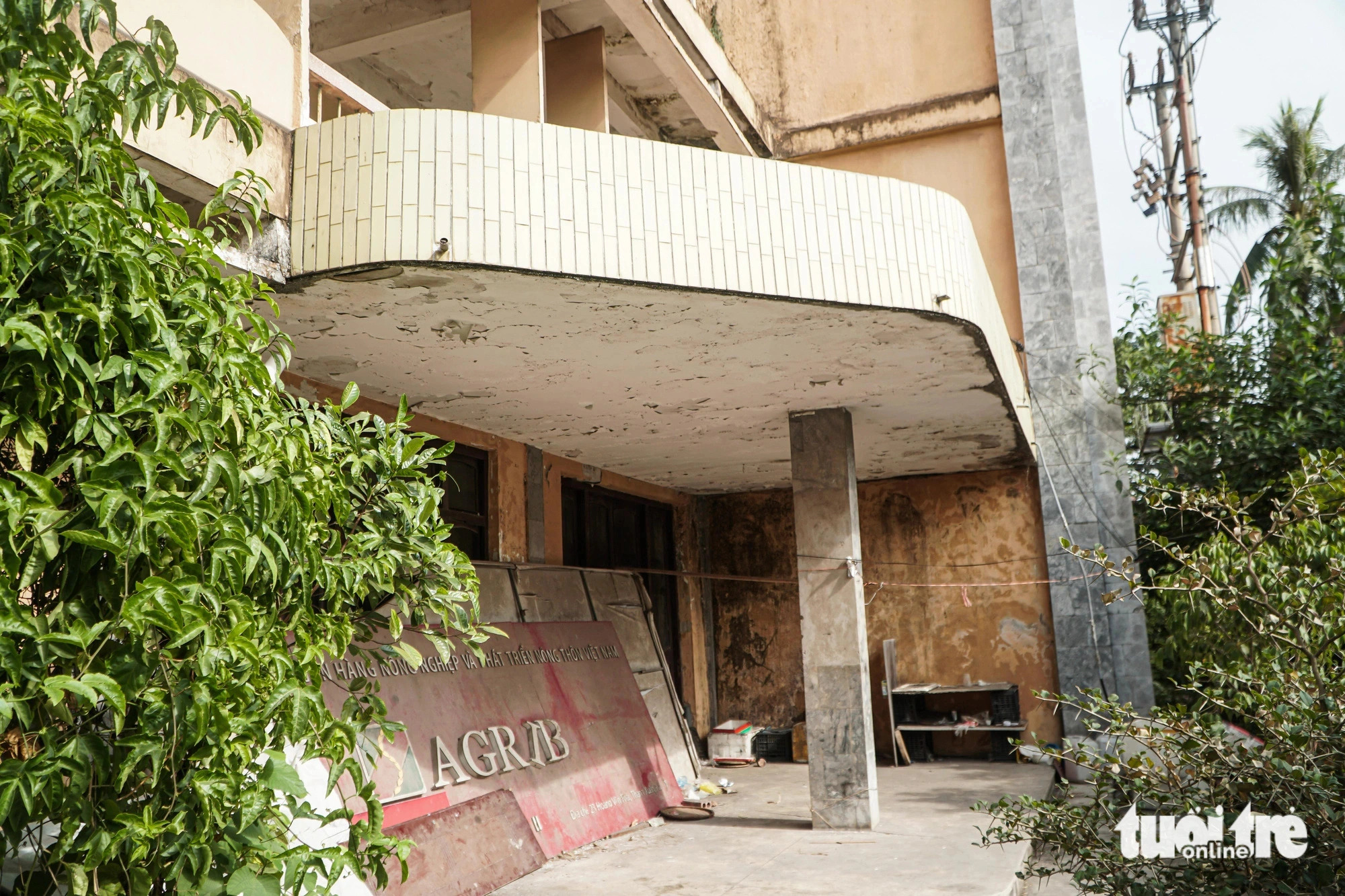 Inside the building, wild plants and grass have grown unchecked from the lobby to the third-floor balcony. Photo: Pham Tuan / Tuoi Tre