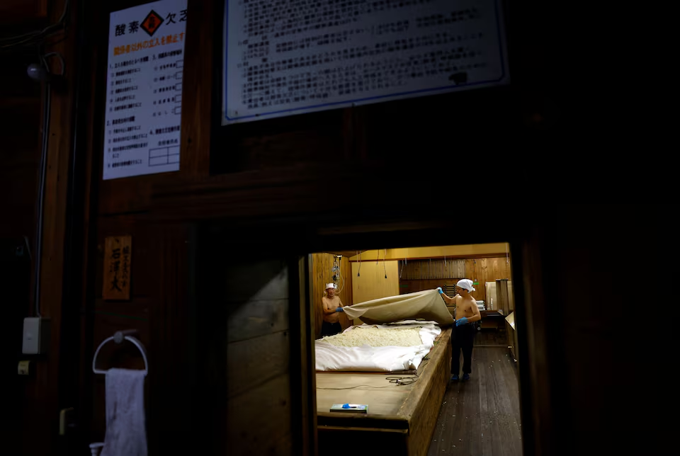 Brewers cover rice on a table with a sheet to make Koji mold, an important ingredient used in brewing sake, a traditional Japanese rice wine, inside the Koji-making room at Ishikawa Shuzou, or Ishikawa Brewery, in Fussa, western portion of Tokyo, Japan November 25, 2024. Photo: Reuters