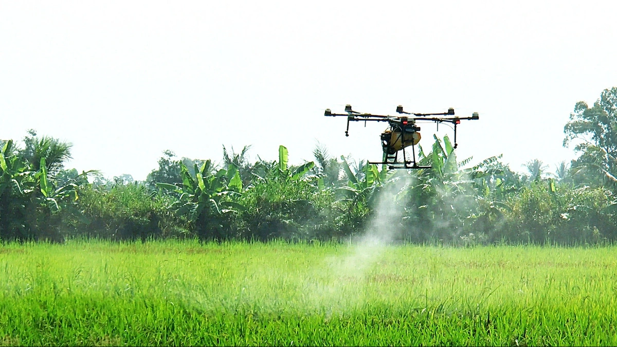 Use of drones in agriculture booming in Vietnam’s Mekong Delta