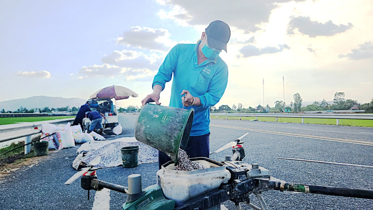 An man puts fertilizer into a drone next to a paddy field in Tri Ton District, An Giang Province, southern Vietnam. Photo: Buu Dau / Tuoi Tre