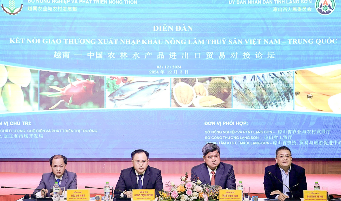 Vietnam’s $126mn cargo transshipment area bordering China to open in 2025