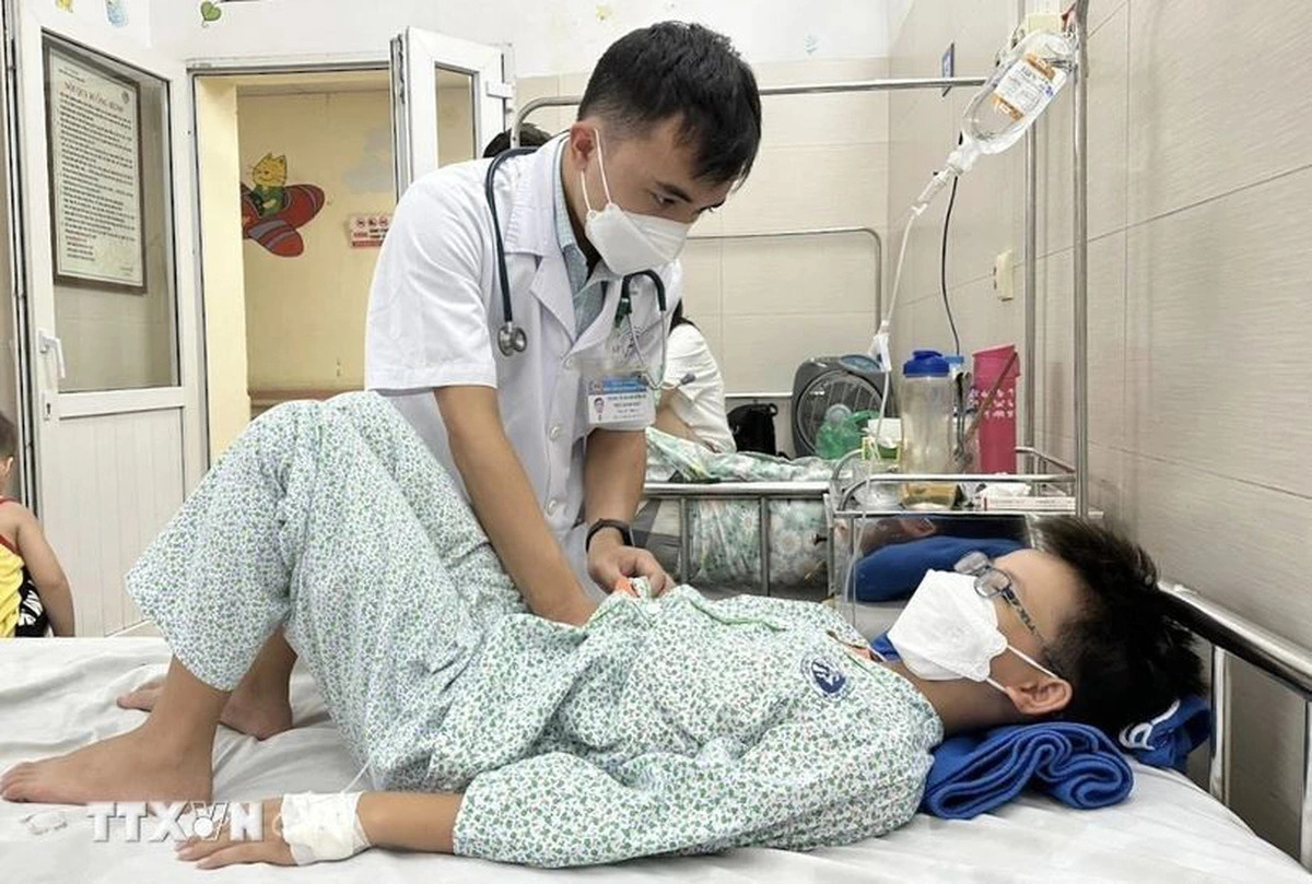 Dengue affects over 114,900 people, takes 18 lives in Vietnam this year