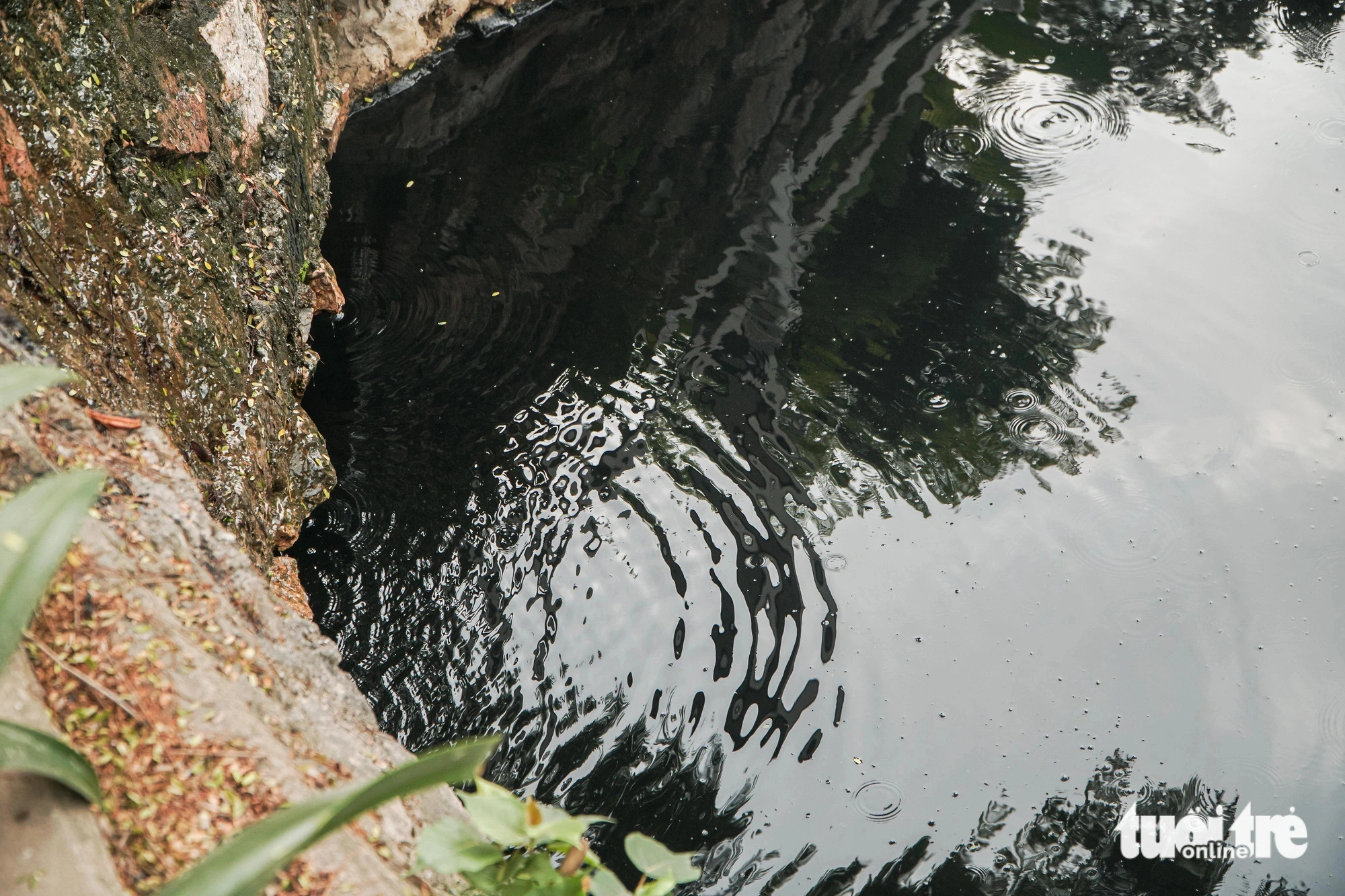 Untreated domestic wastewater is directly discharged into Truc Bach Lake in Hanoi, December 4, 2024. Photo: Pham Tuan / Tuoi Tre