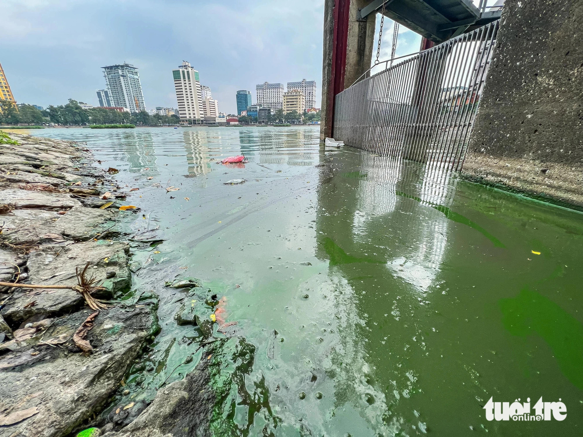 The polluted Giang Vo Lake in Hanoi, December 4, 2024. Photo: Pham Tuan / Tuoi Tre