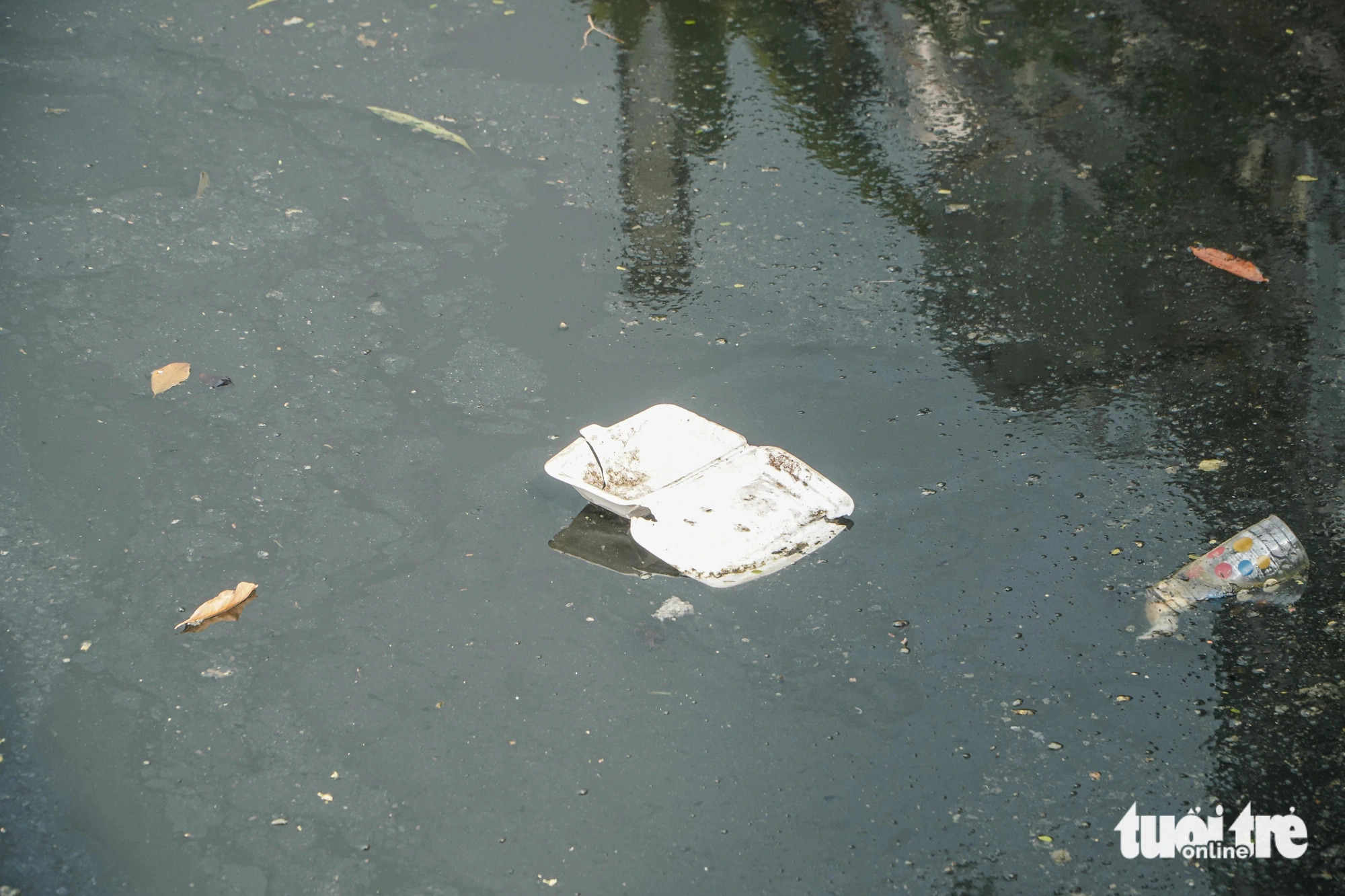 Pollution hits Truc Bach Lake in Hanoi, December 4, 2024. Photo: Pham Tuan / Tuoi Tre