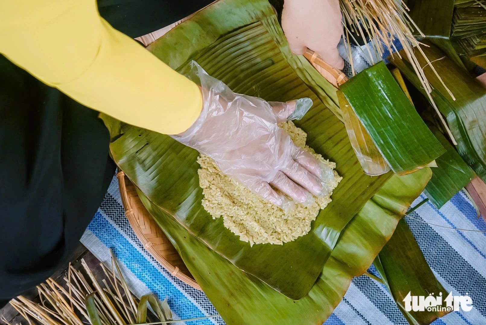 The sticky rice used to make ‘bánh tét’ is mixed with pandan leaves to create a green color and a light aroma. Photo: Tong Doanh / Tuoi Tre