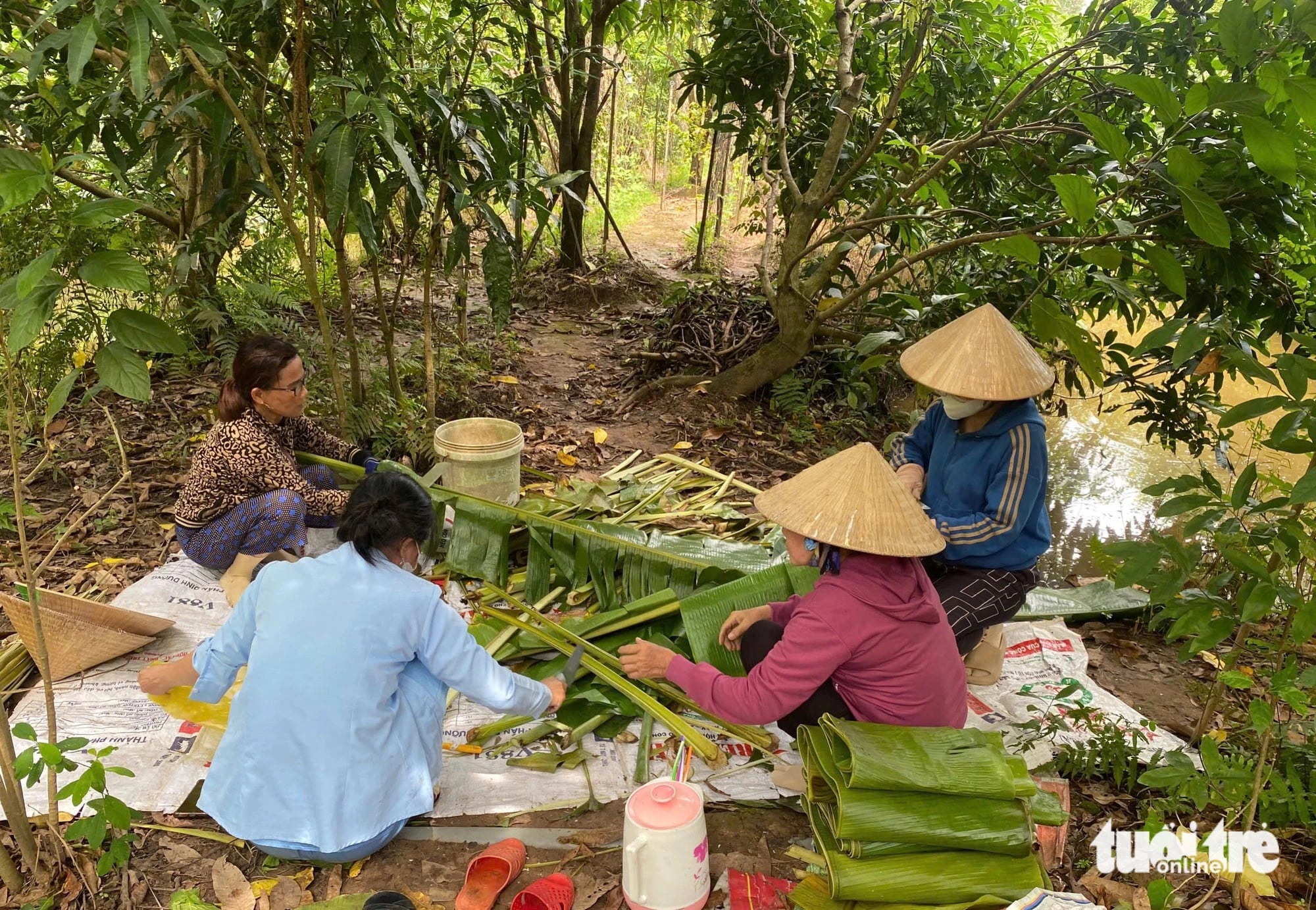 A group of women are preparing banana leaves for wrapping ‘bánh tét’. Photo: Tong Doanh / Tuoi Tre