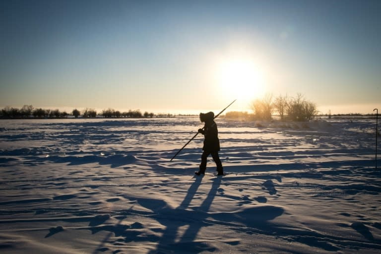 Sink to source: Arctic tundra emitting more carbon than it absorbs