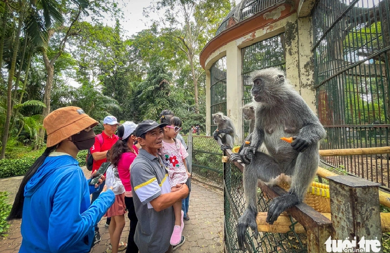 Saigon Zoo and Botanical Gardens on verge of shutdown over $34mn land rent arrears