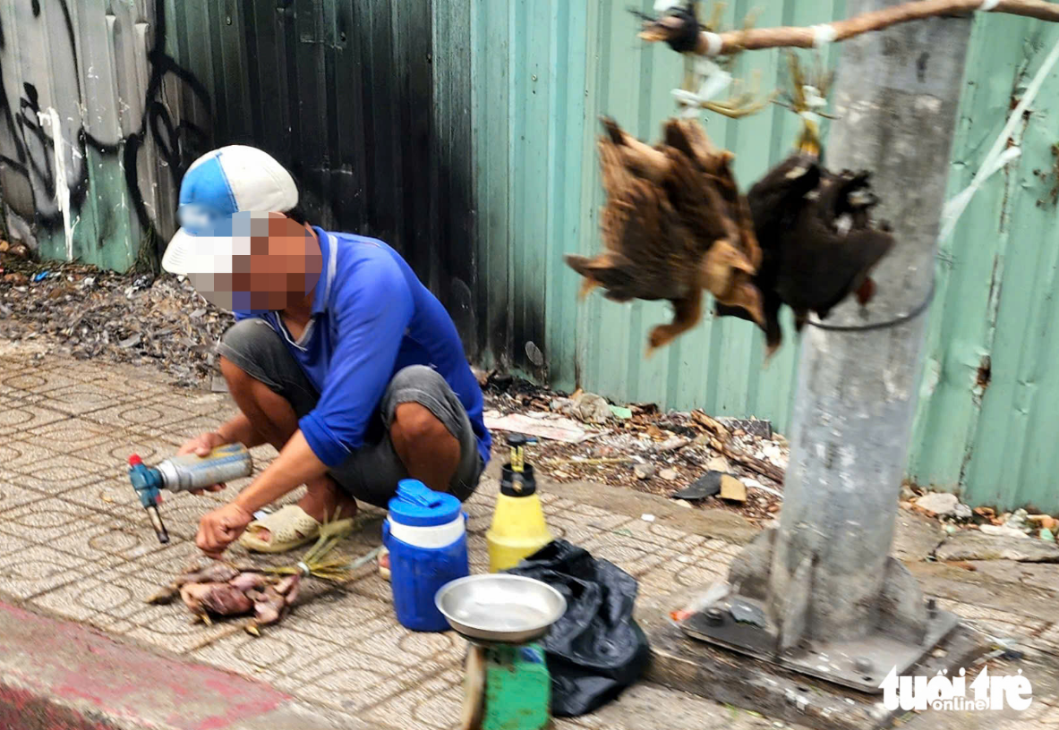 Wild birds hung upside down, sold on streets in Ho Chi Minh City