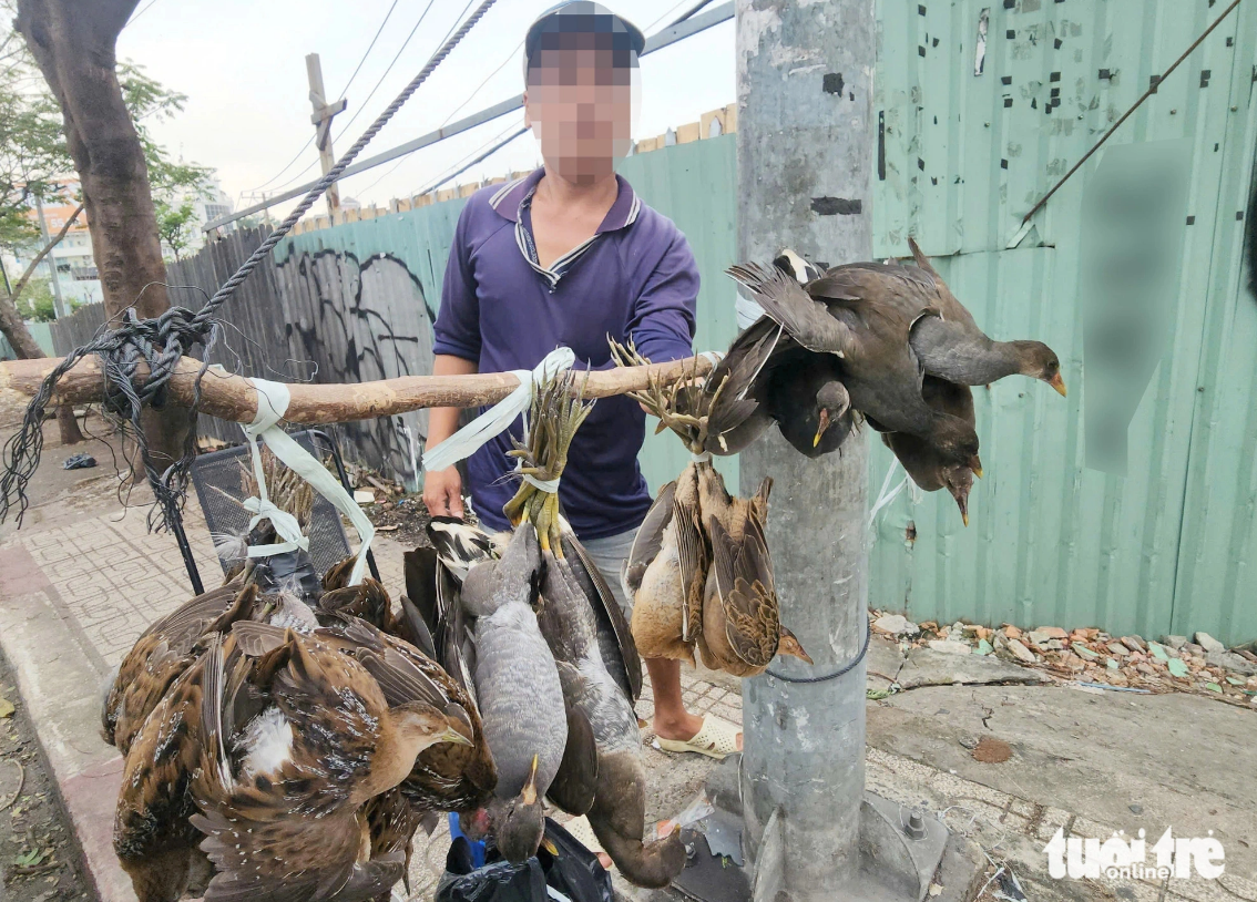 Wild birds tied up, hung upside down, and sold on a street in Binh Chanh District, Ho Chi Minh City. Photo: Ngoc Khai / Tuoi Tre