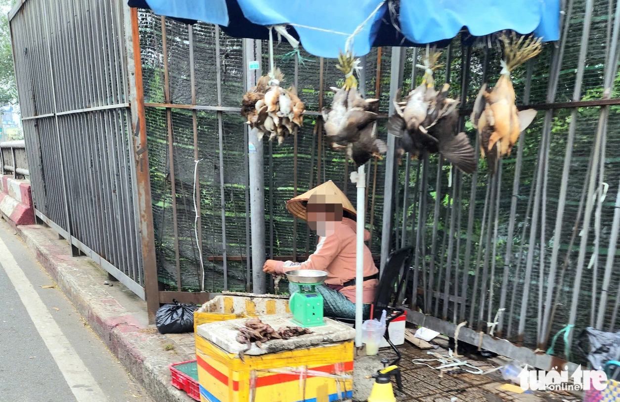 A woman sells several wild birds on a street in Binh Chanh District, Ho Chi Minh City. Photo: Ngoc Khai / Tuoi Tre