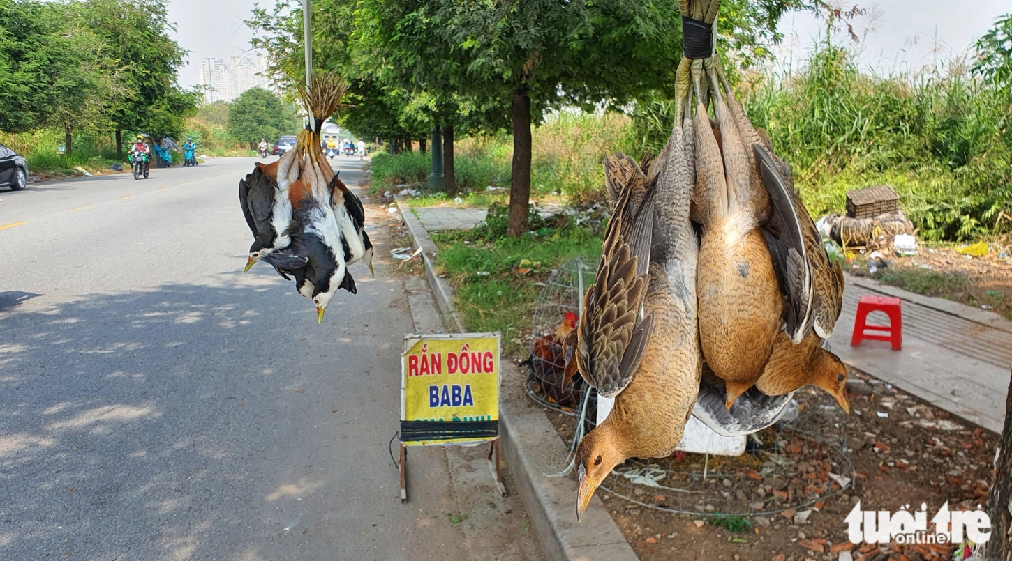 Wild birds on sale on To Huu Street in Thu Duc City, Ho Chi Minh City. Photo: Minh Hoa / Tuoi Tre