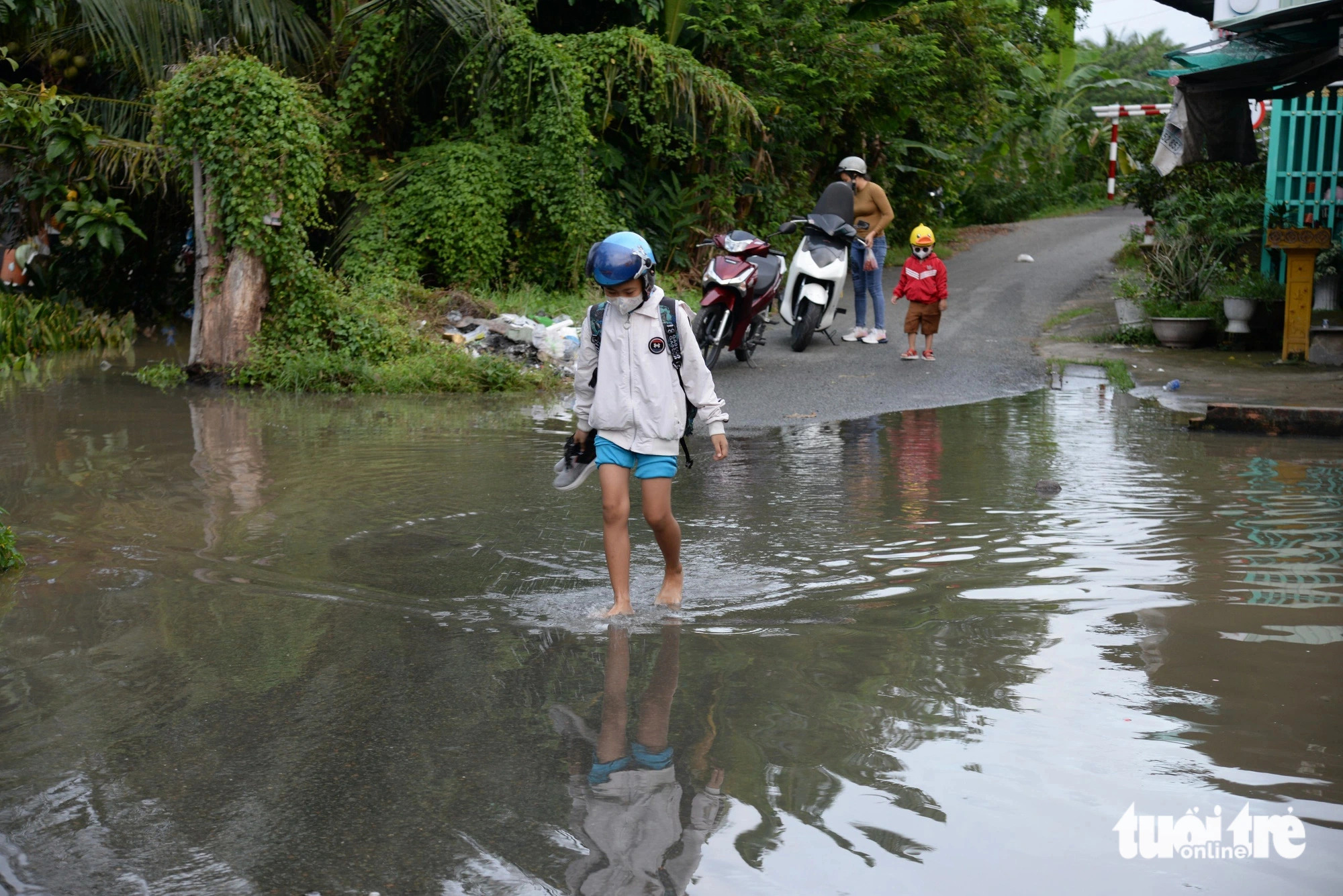 Year-end high tide expected in Vietnam’s Mekong Delta