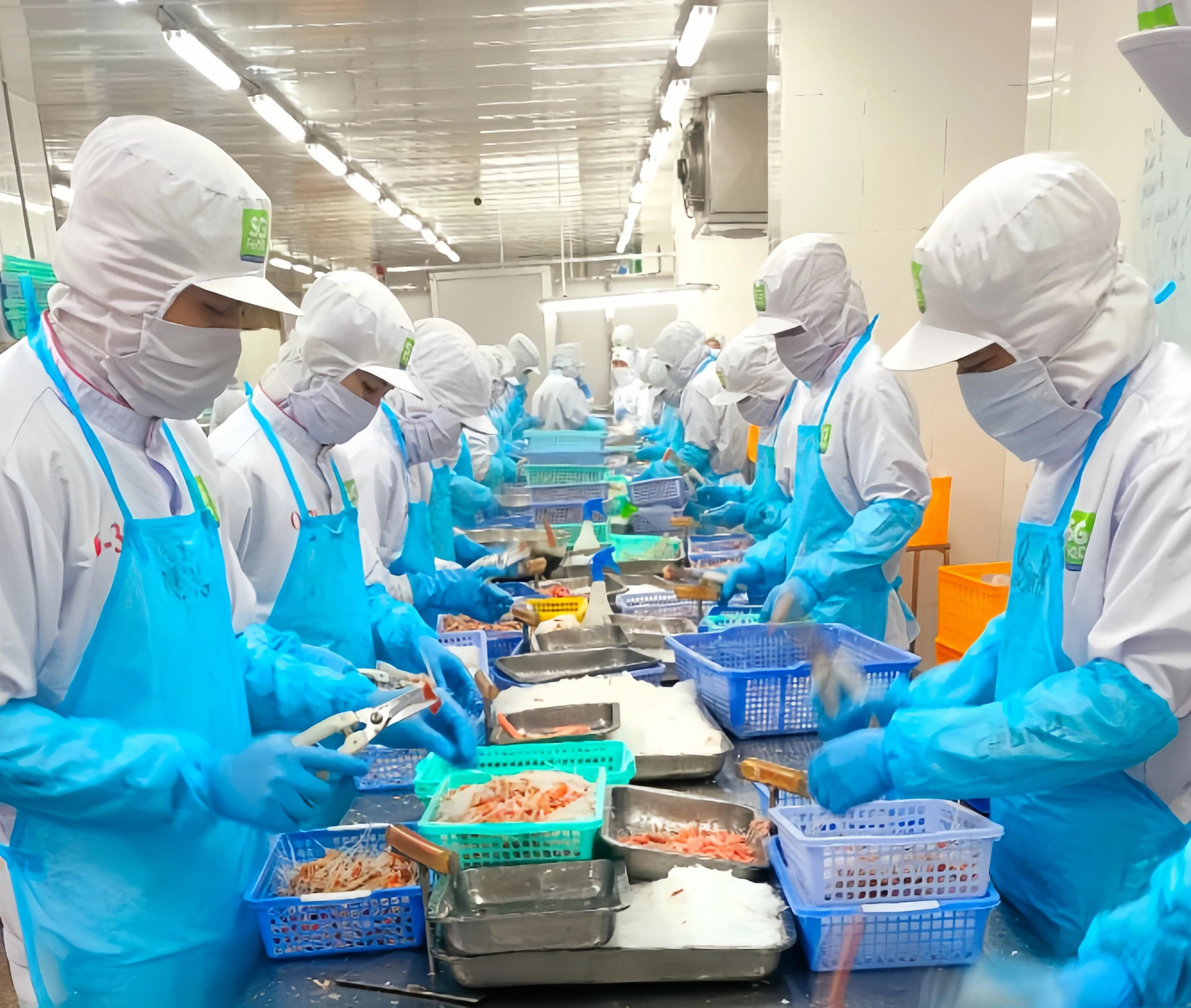 Over half of Japanese companies in Vietnam eye business expansion