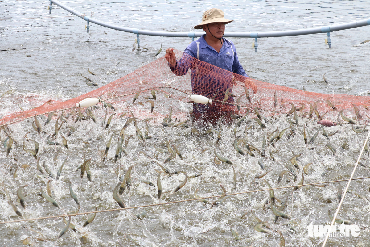 Vietnam’s seafood exports hit $10bn in 2024