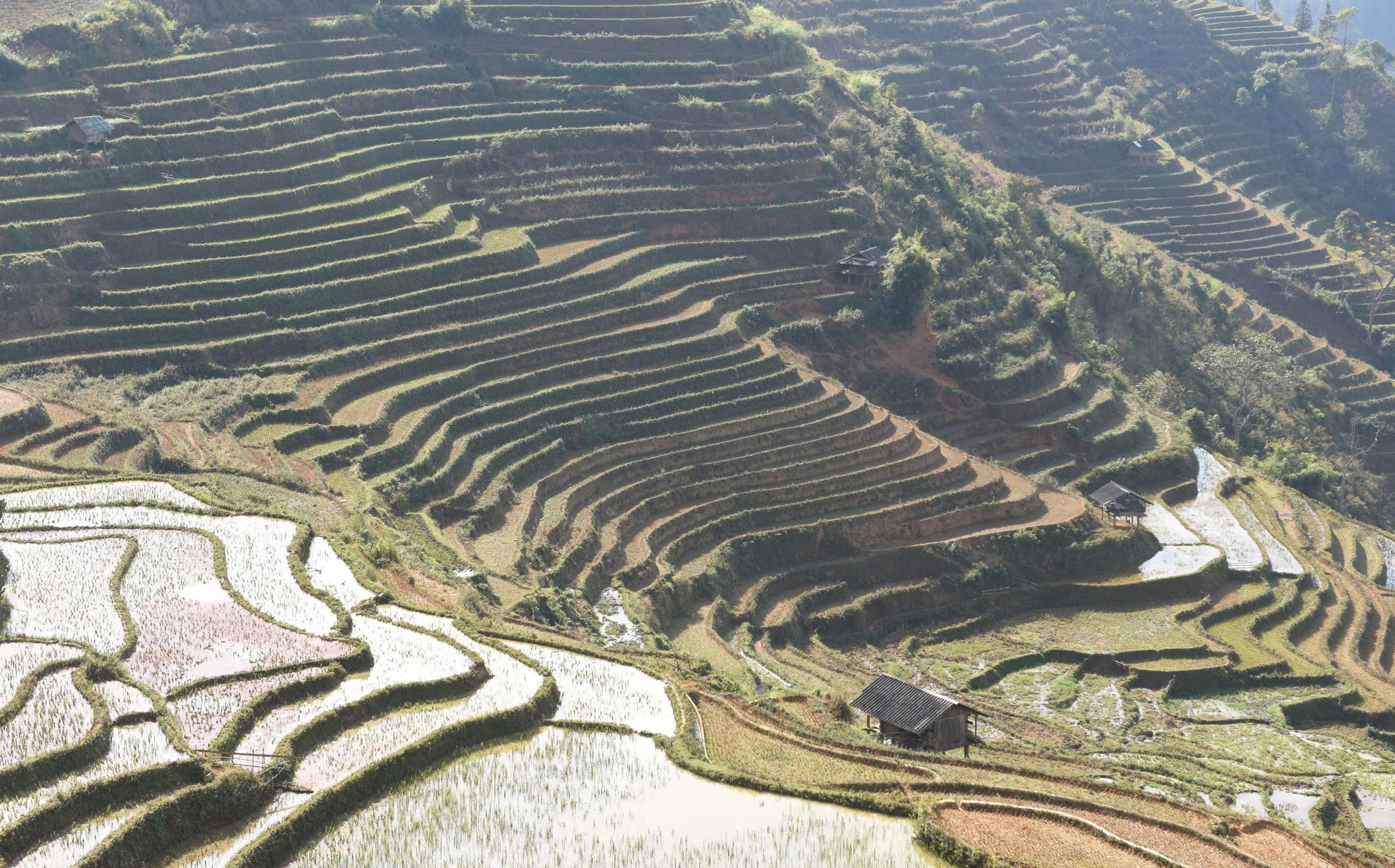 Terraced fields during dry season in Mu Cang Chai Town, Mu Cang Chai District, Yen Bai Province, northern Vietnam.