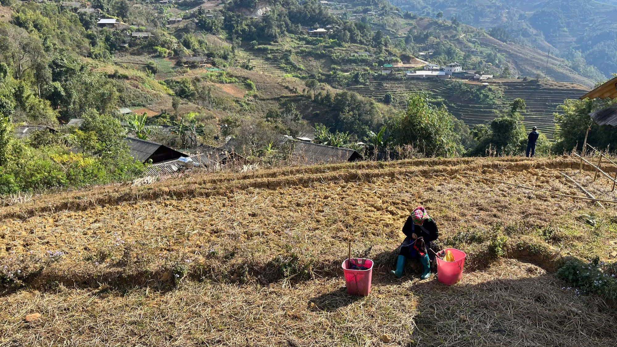 A Mong woman knits on a terraced field in Mu Cang Chai Town, Mu Cang Chai District, Yen Bai Province, northern Vietnam.