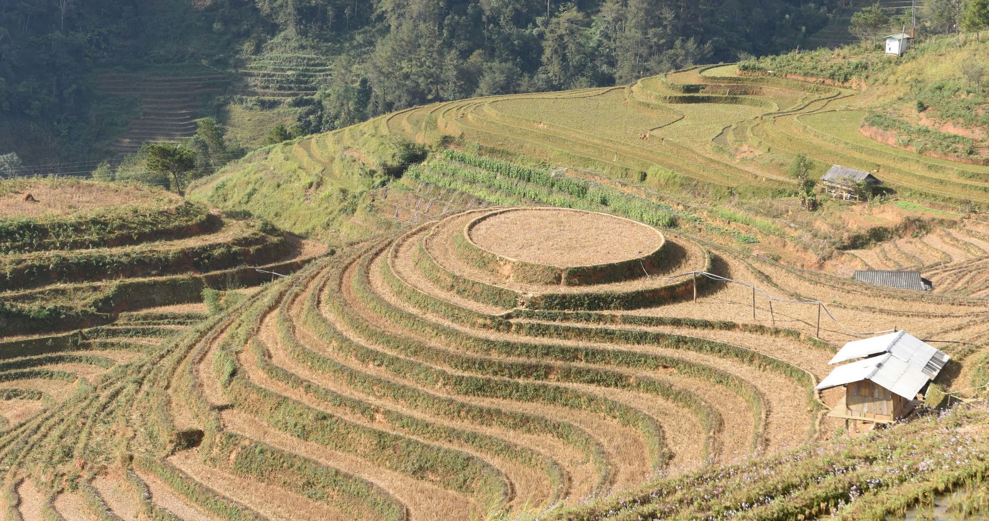 Explore tranquil beauty of Mu Cang Chai’s off-season terraced fields in northern Vietnam