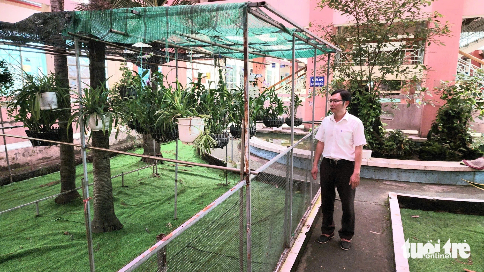 The schoolyard of Nguyen An Ninh Secondary School where the Javan pangolin was discovered on October 20, 2024. According to a Ho Chi Minh City forest ranger, there are no wild pangolins living in the wild in the city, as the species is only kept at the Saigon Zoo and Botanical Gardens for visitors. Regarding this particular Javan pangolin, it is suspected to have either escaped from illegal captivity or been abandoned during smuggling attempts. Photo: Ngoc Khai / Tuoi Tre