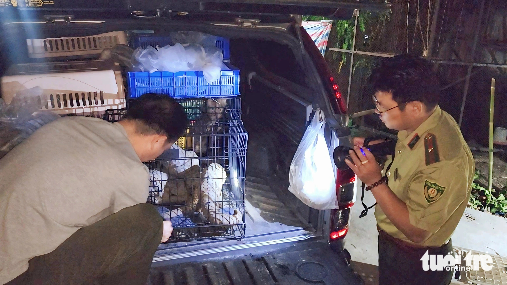 The 43 wild animals of 15 species are being transported from the wildlife rescue station to U Minh Thuong National Park. These animals were either released into the wild or transferred to the park for care and conservation. Photo: Ngoc Khai / Tuoi Tre