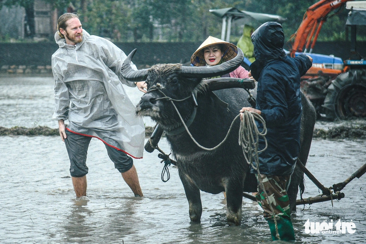 Foreign tourists experience farmers’ jobs during fest in central Vietnam