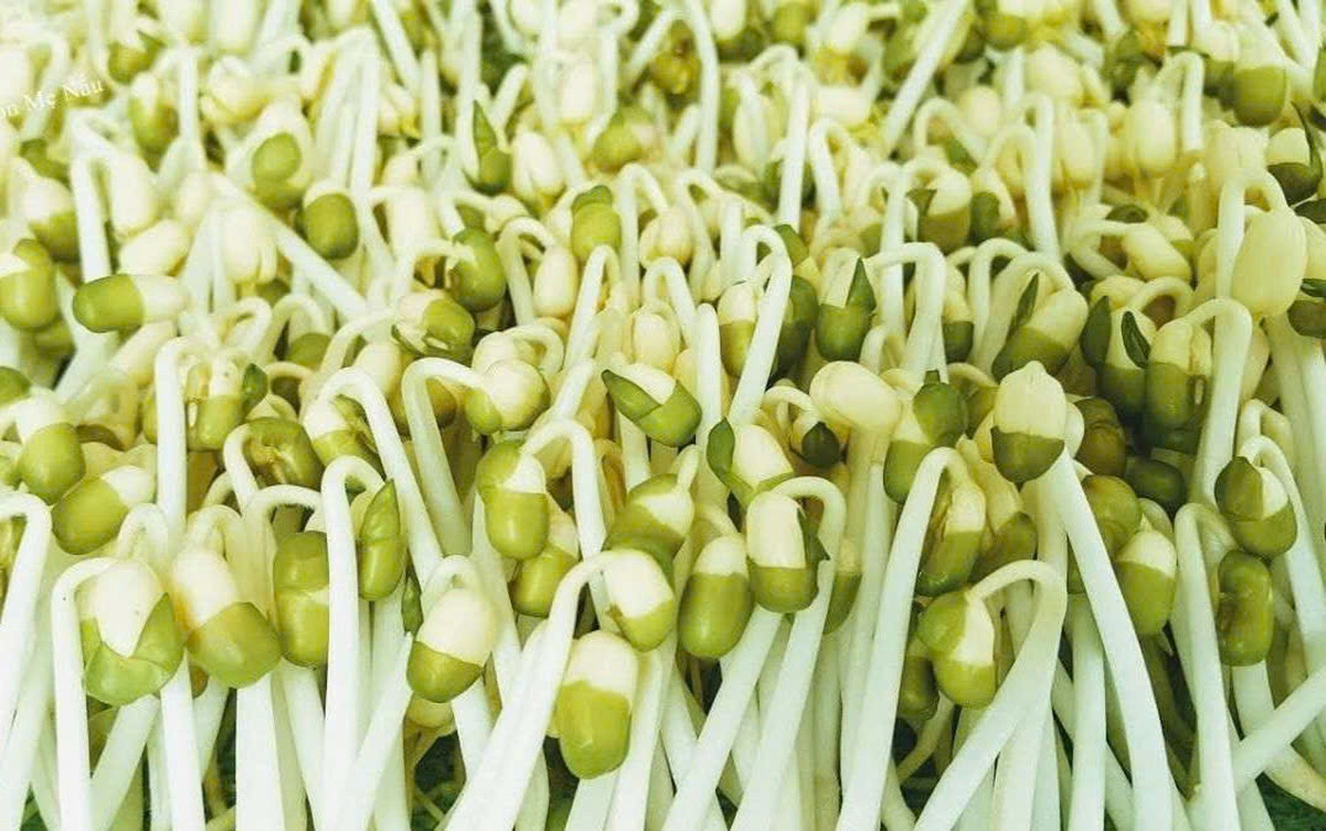 Vietnam’s grocery chain Bach Hoa Xanh recalls bean sprouts reportedly soaked in banned chemical