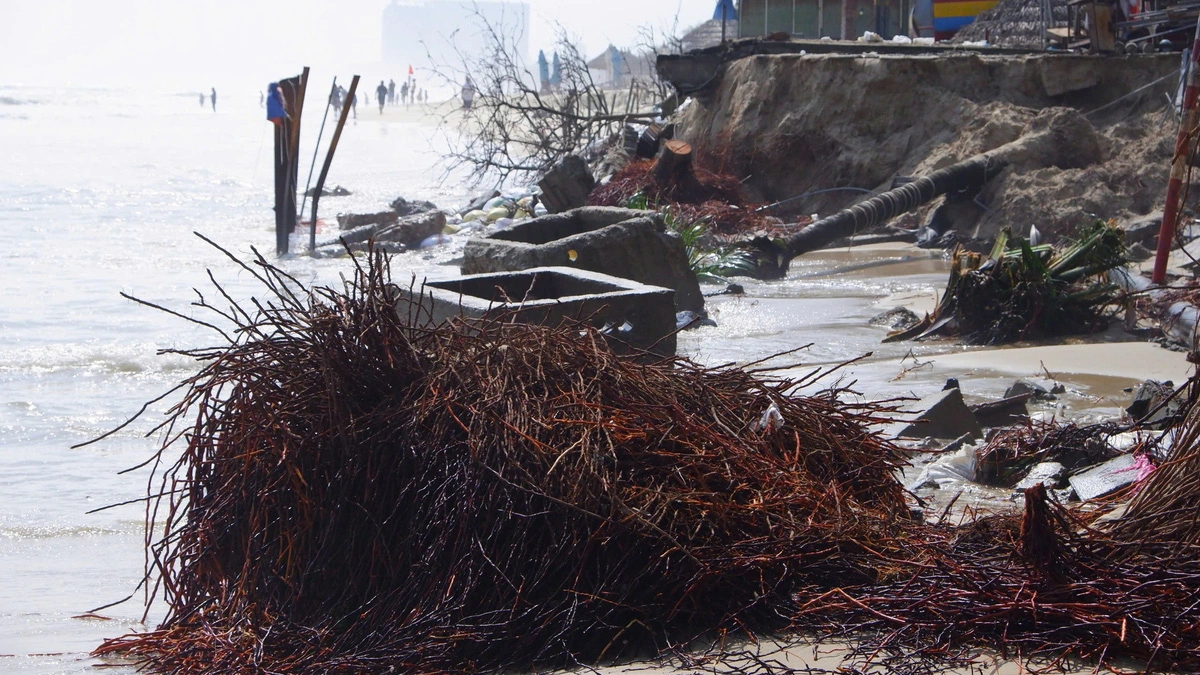 The coastal erosion damages many sites along a beach in Da Nang City. Photo: Truong Trung / Tuoi Tre