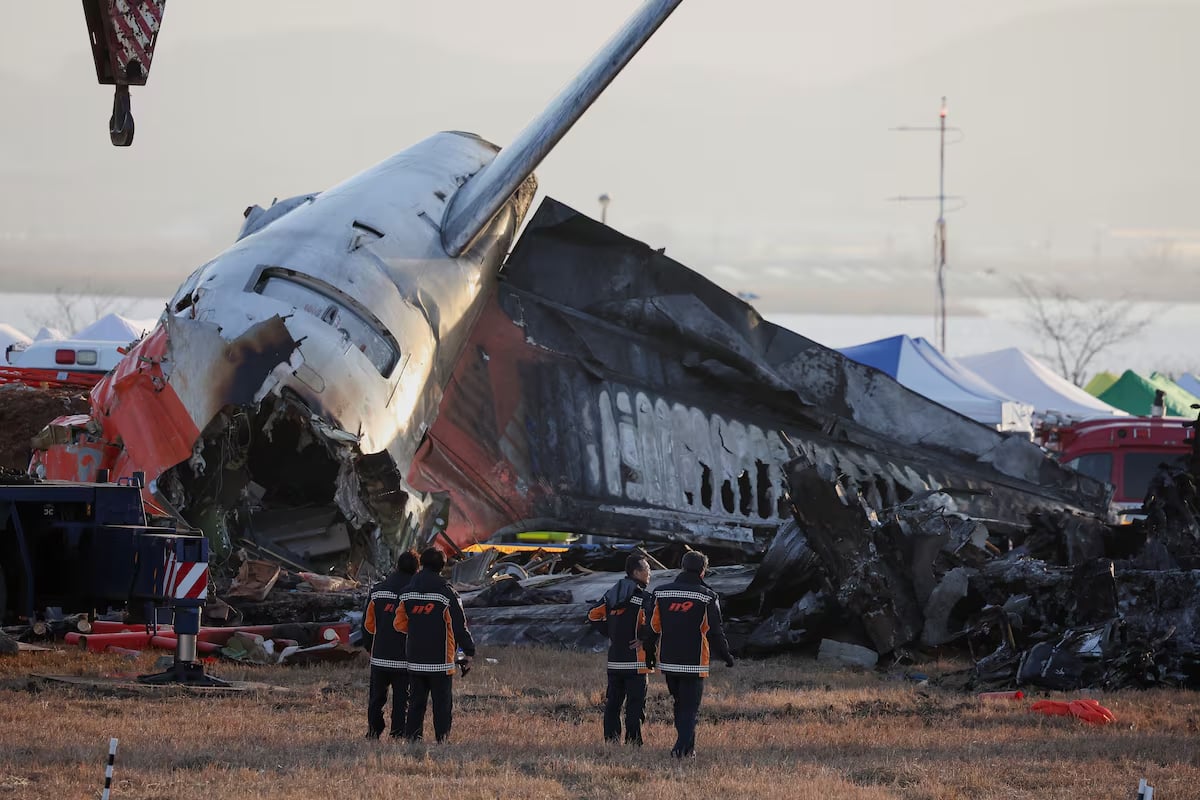 Questions over airport embankment, bird strikes as South Korea air crash probed