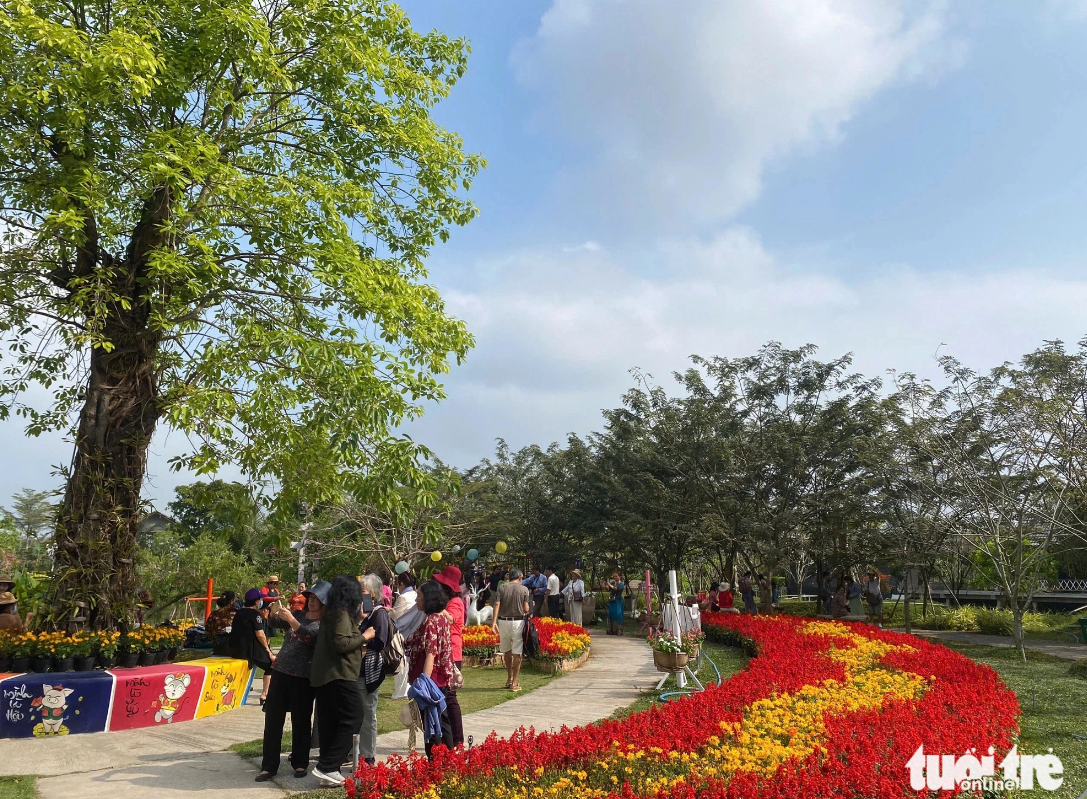 Tu Ton Rose Garden in Sa Dec City, Dong Thap Province attracts tourists. Photo: Dang Tuyet / Tuoi Tre