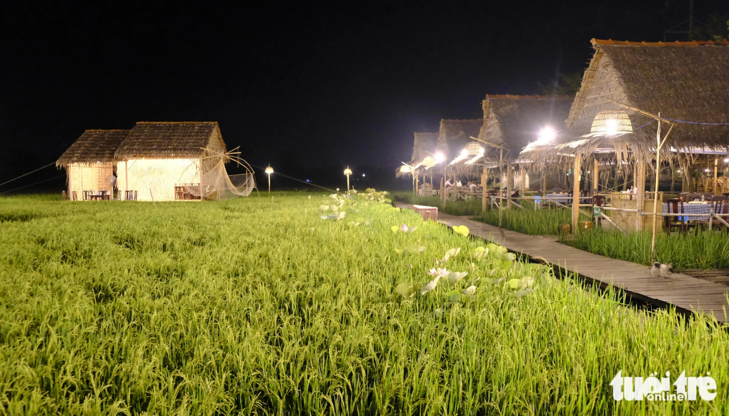 The night-time peace at My Phuoc Thanh Tourist Area in Dong Thap Province. Photo: Dang Tuyet / Tuoi Tre