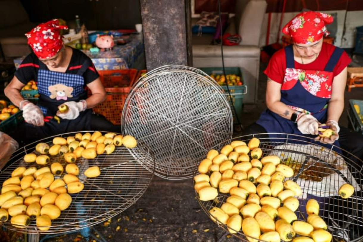 Blooming hard: Taiwan's persimmon growers struggle