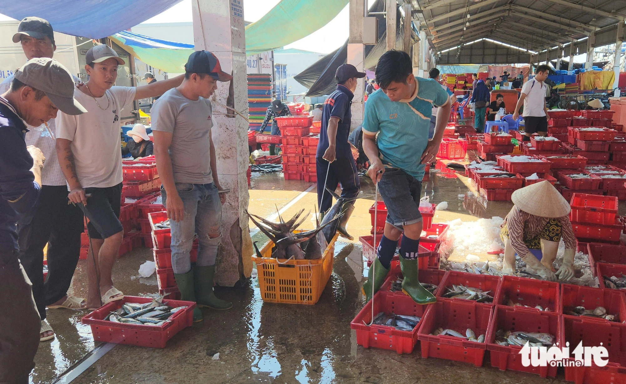 Dwindling fish stocks, rising costs threaten livelihoods of southwestern Vietnam’s fishing communities