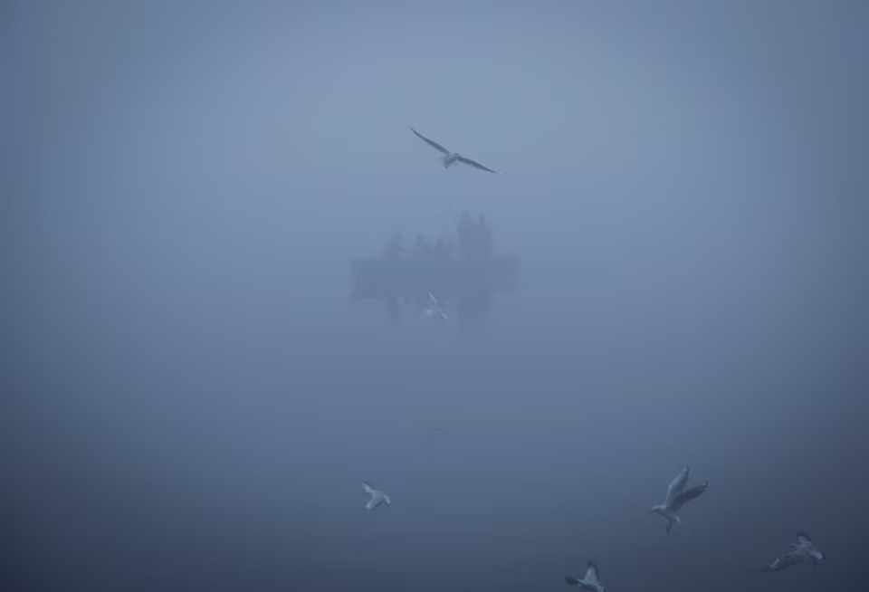 [2/5]People ride a boat across the Yamuna river on a foggy winter morning in New Delhi, India, January 3, 2025. Photo: Reuters