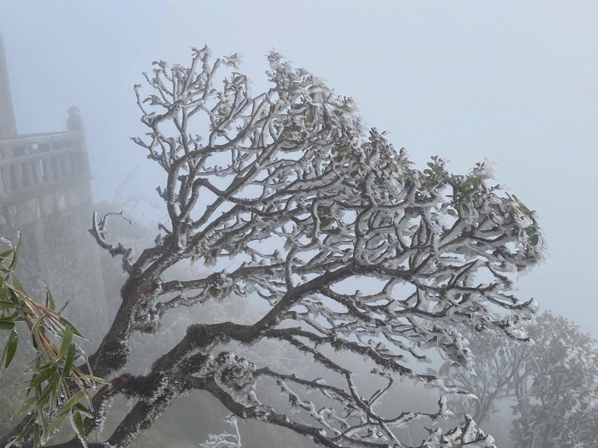 Frost covers Vietnam’s highest peak for nearly a week