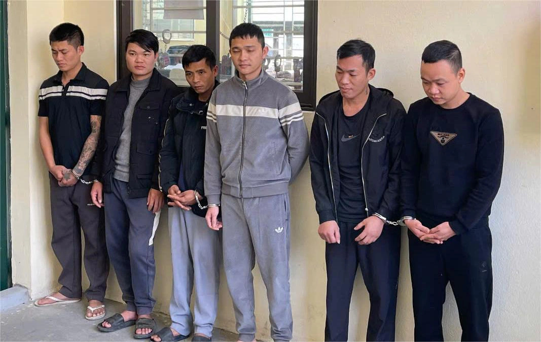 In Vietnam, gang busted for stealing 250 dogs in one month