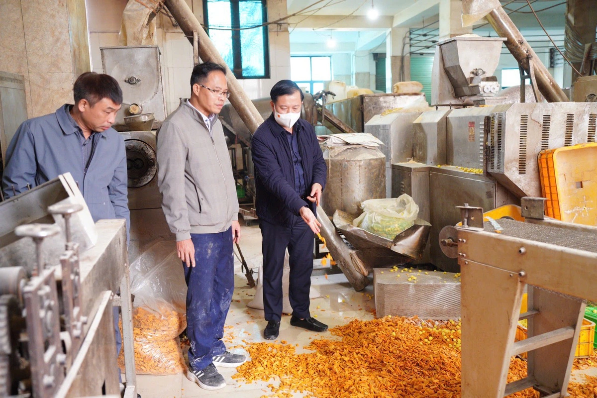 Snacks put on floor, rat carcasses found in Hanoi facility