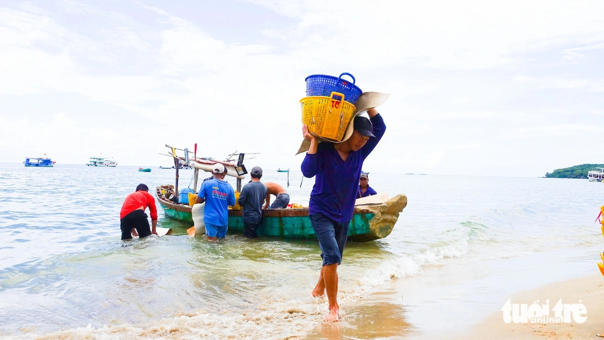 Fresh fish is bought at sea for drying. Photo: Chi Cong / Tuoi Tre