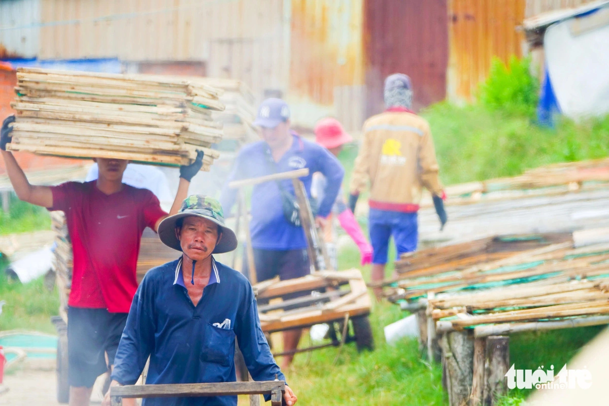 Residents in Phu Quoc City are busy drying shrimp and fish ahead of the Lunar New Year holiday. Photo: Chi Cong / Tuoi Tre