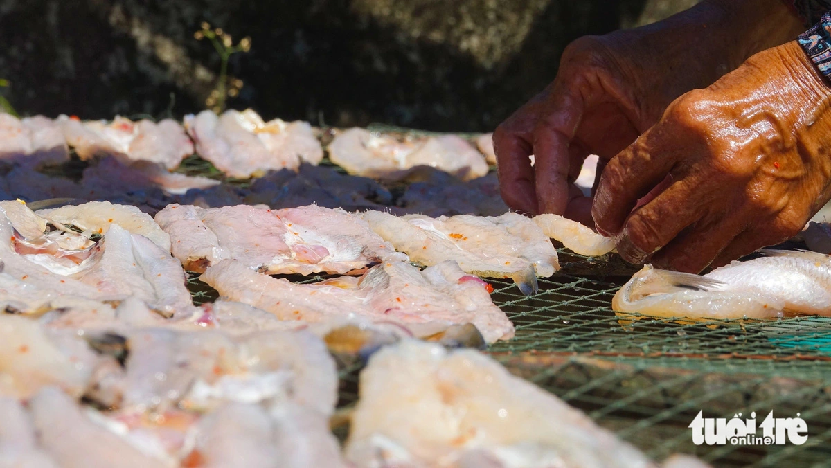 Fish is dried for supply before Tet. Photo: Chi Cong / Tuoi Tre