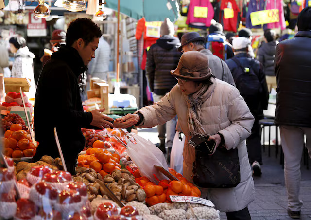 Japan November household spending falls as price pressures persist