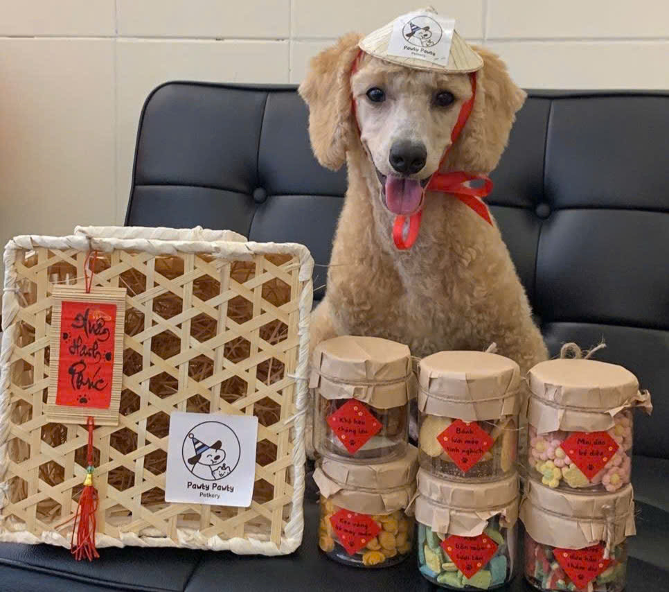 A dog wears a miniature hat next to a set of Tet (Vietnamese Lunar New Year) treats for pets from Pawty Pawty pet bakery in An Phu Ward, Thu Duc City, Ho Chi Minh City. Photo: M.L.