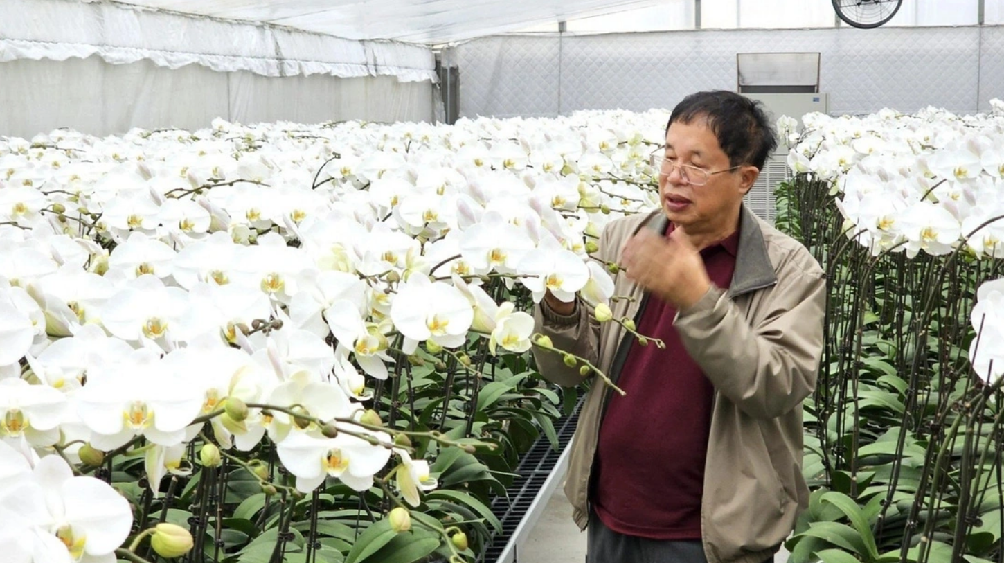 Inside Hanoi’s orchid garden where advanced tech outpaces Asia