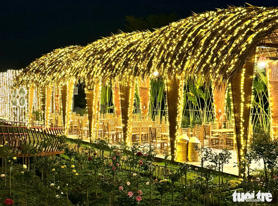 At night, 30,000 LED lights make Duyen Nhut Flower Paradise Tourist Area sparkle. Photo: Dang Tuyet / Tuoi Tre