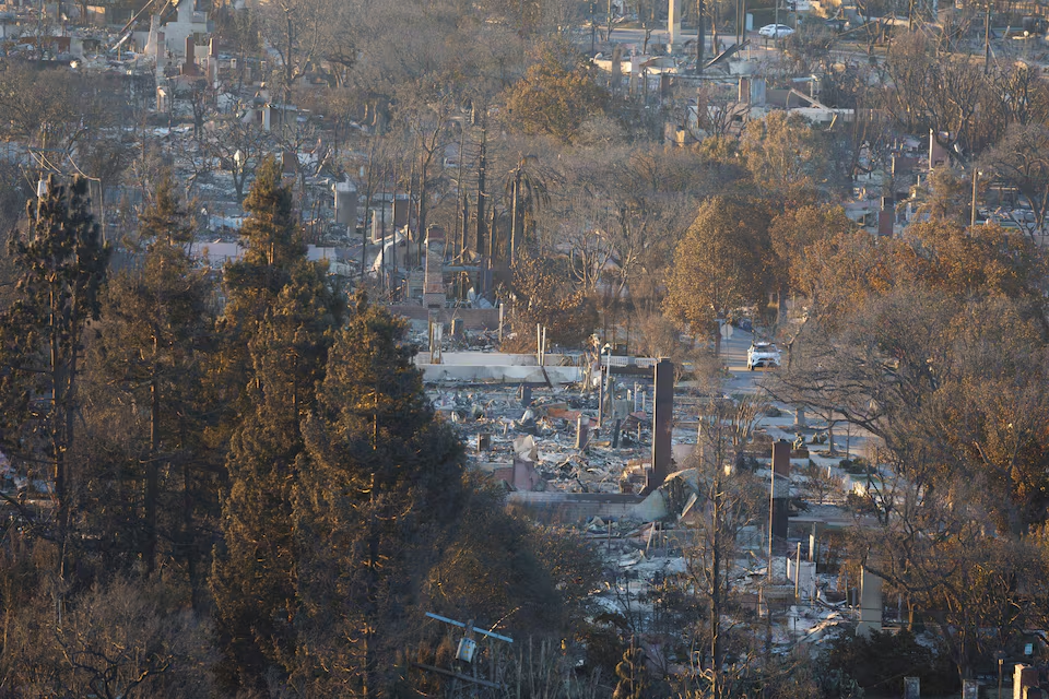 Burned properties following the Palisades Fire at the Pacific Palisades neighborhood in Los Angeles, California, U.S. January 13, 2025. Photo: Reuters