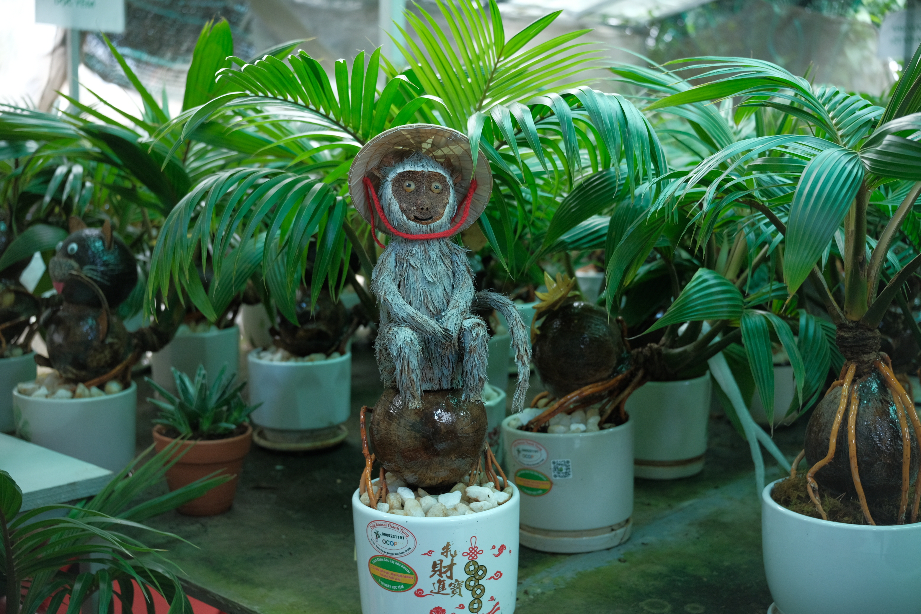 A coconut bonsai pot is decorated with a monkey sculpture crafted by Tung. Photo: Ngoc Phuong / Tuoi Tre News