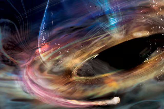 Intrepid white dwarf has a close encounter with a massive black hole