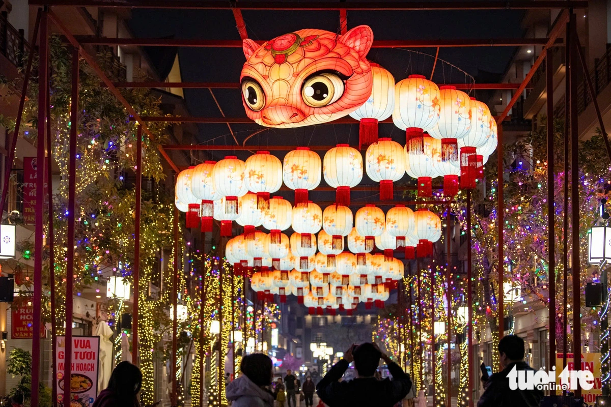 The ‘Ran Hong Choi Xuan’ (A Pink Snake Enjoys the Springtime) lantern.